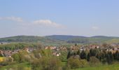 Randonnée A pied Geiselbach - Schwarzer Fuchs, Rundwanderweg Geiselbach - Photo 3