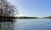 Tour Zu Fuß Dümmer - Rad-Wanderweg - Photo 10