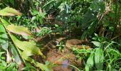 Tour Wandern Le Lorrain - Boucle Dorival - Cledelin - Carabin - Vallon - Photo 12