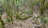 Tour Wandern Labastide-de-Virac - labastide pont d'arc - Photo 1