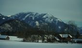 Tour Zu Fuß Strobl - Seeuferweg Strobl-Abersee - Photo 4