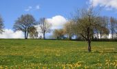 Trail On foot Ebersburg - Rhön-Rundweg 2 Weyhers - Photo 10