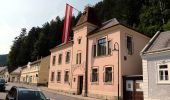 Tour Zu Fuß Gemeinde Gutenstein - Gutenstein - Öhler Schutzhaus - Photo 1