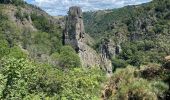 Randonnée Marche Chauchailles - Gorges du Bèz sentier des espagnols - Photo 6
