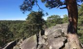 Trail Walking Fontainebleau - Fontainebleau, Gorges du Houx et Gorges de Franchard - Photo 13