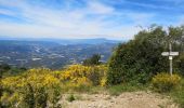 Excursión Bici de montaña Digne-les-Bains - [PAT] Sentier 10 Cousson - Photo 3