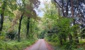 Trail Walking Esneux - mon E d'Esneux - Photo 4