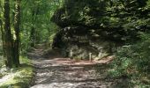 Randonnée Marche Vresse-sur-Semois - Rando au départ de Bohan  - Photo 6