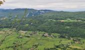 Randonnée Marche Villard-de-Lans - La moliere - col d'herbouilly - pot du loup - crête - Photo 7