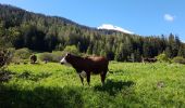 Trail Walking Val-Cenis - 2021-05-27_Lanslevillard_Chemin-des-Sarrazins+Le-Mollaret - Photo 3