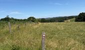 Tour  Attert - Balisage GR15 - Photo 5