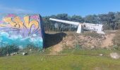 Trail Walking Plouharnel - PR_56_Plouharnel_CA_03_Entre-Baie-Et-Ocean_Circuit4a_20241025 - Photo 7