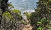 Tour Wandern Bormes-les-Mimosas - TOULON / BORMES LES MIMOSAS: LA LONDE - Photo 2