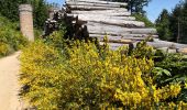 Trail Walking Chevinay - Saint Bonnet Le Froid - Les tours - Photo 3