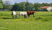 Tocht Stappen Javerdat - javerdat les landes - Photo 3