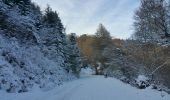 Tocht Stappen Arrien-en-Bethmale - les granges de la Serre en boucle - Photo 5