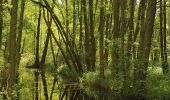 Tour Zu Fuß Märkische Heide - Rundwanderweg Groß Leuthener See - Photo 7