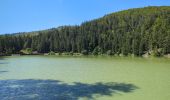 Trail Walking Orbey - Circuit des 2 lacs : lac du Forlet et lac Vert - Photo 19