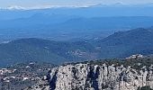 Trail Walking Plan-d'Aups-Sainte-Baume - Dent de la Roque Forcade après reco  - Photo 6