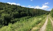 Tour Wandern Havelange - Bois, Rivière et champs - Photo 19