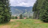 Tour Wandern Ventron - hermitage et Joseph  - Photo 10