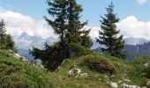 Trail Walking Fillière - GLIERES: MONUMENT - COL DE L'OVINE - CHALET DES AUGES - Photo 6