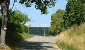 Percorso A piedi Gomadingen - Aeusserer Zugangsweg des Schwäbischen Albvereins (blaues Dreieck) - Photo 6