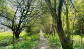 Tocht Stappen Tongeren - De Kevie : la promenade du Geer à Tongres  - Photo 1