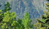 Trail Walking Stosswihr - Stosswihr L'Altenberg Le Sentier des Roches - Photo 9