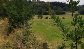 Trail Walking Le Malzieu-Ville - LE MALZIEU - APCHER  - Photo 3
