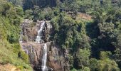 Tocht Stappen Dangolla - Sri-08 Kandy - Nuwara Eliya - Photo 2