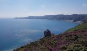 Excursión Senderismo Plévenon - du Fort La Latte au Cap Fréhel - Photo 3