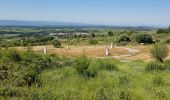 Tour Wandern Caunes-Minervois - Caunes carrière Cros - Photo 1