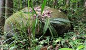 Tour Wandern Sainte-Luce - Forêt de Montravail  - Photo 16