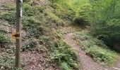 Excursión Bici de montaña Yvoir - GODINNE ... par Roquebrune, la Sibérie et les Tiennes de Rouillon. - Photo 7