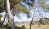 Tocht Stappen La Londe-les-Maures - les vieux salins - Photo 6