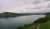 Tour Zu Fuß Meisterschwanden - Schloss Hallwil - Strandbad Tennwil - Photo 2