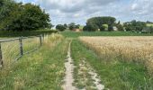 Percorso Marcia Ronse - Ronse-Audenarde 20,5 km  - Photo 8