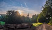 Tocht Te voet Weismain - Kordigast Berglauf - Photo 1