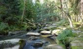 Tour Zu Fuß Windischeschenbach - Waldnaabtal Uferpfad - Photo 10