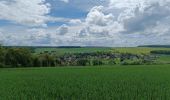 Tour Wandern Bucey-en-Othe - rando Bucey 16 mai 2024 - Photo 4