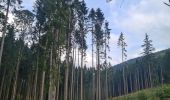 Trail Walking Rombach-le-Franc - Col de Schlingoutte - Photo 6