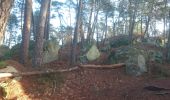 Trail Walking Fontainebleau - rocher d'Avon 13 janvier 2023  - Photo 18