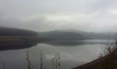 Tocht Stappen Jalhay - Tour  du lac de la Gileppe, à pied sec dans le lac - Photo 15