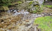 Tour Wandern Chamonix-Mont-Blanc - J9 - Petit Balcon Sud : Les Praz de Chamonix - Argentière - Photo 7