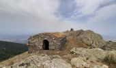 Tour Wandern L'Albère - col de l ullat . puig d orella . puîg sant cristau . col de l ullat - Photo 5