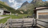 Tour Zu Fuß Samedan - Palüd Marscha-Crap Alv - Photo 6