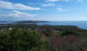 Randonnée Marche nordique La Seyne-sur-Mer - janas - Photo 1