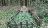 Tour Zu Fuß Osburg - Bonerather Rundweg - Photo 6