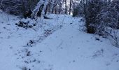 Tocht Sneeuwschoenen Andon - Descente vers le Loup en raquettes - Photo 7